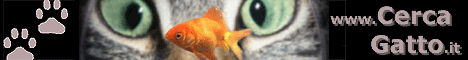 cerca gatto